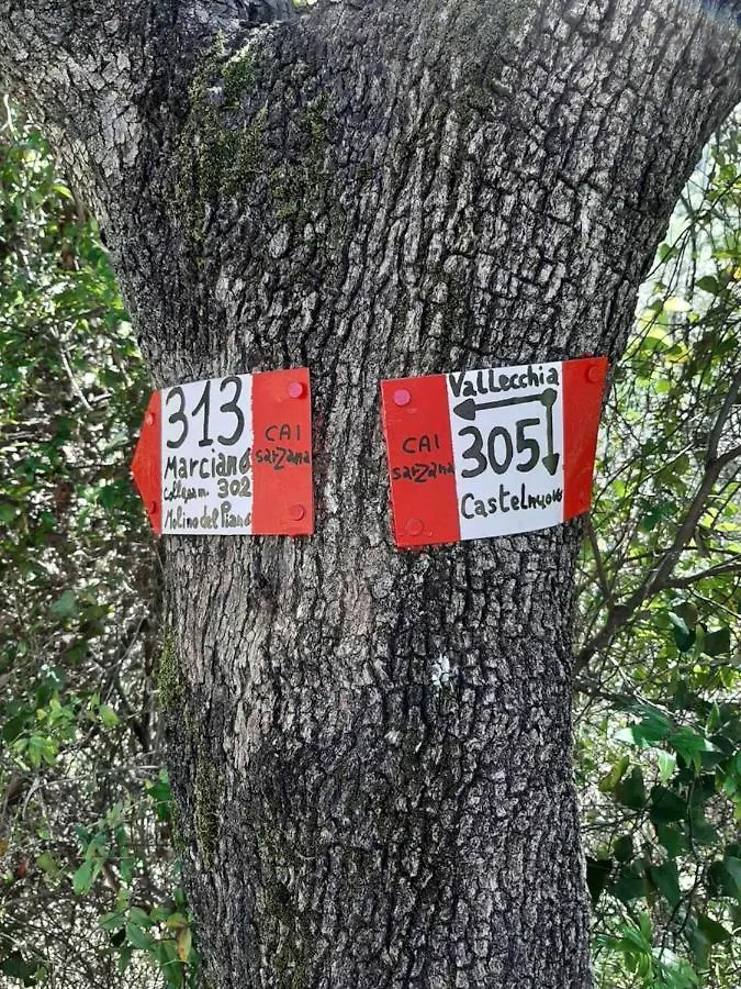 Fattoria Cristina - Bilo Verde Castelnuovo Magra 0*,